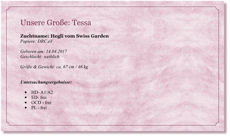 Unsere Groe: Tessa                                                                           Zuchtname: Hegli vom Swiss Garden Papiere: DRC.eV  Geboren am: 14.04.2017 Geschlecht: weiblich  Gre & Gewicht: ca. 67 cm / 46 kg   Untersuchungsergebnisse:  	HD- A1/A2 	ED- frei 	OCD - frei 	PL - frei