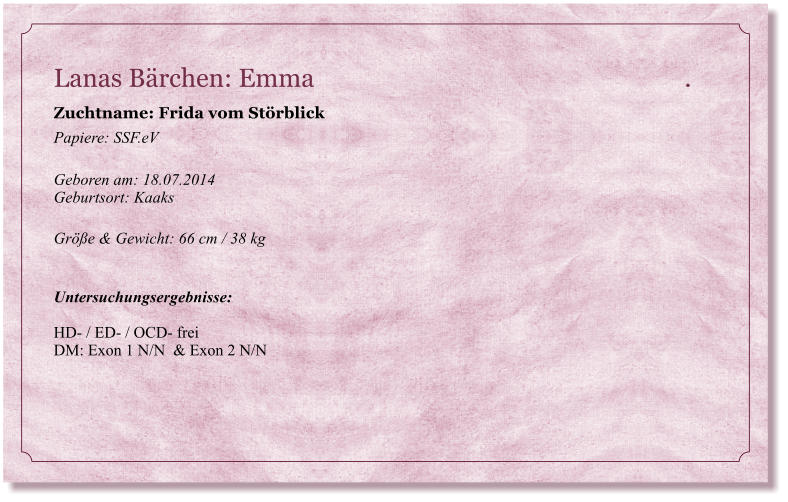 Lanas Brchen: Emma                                                           .           Zuchtname: Frida vom Strblick Papiere: SSF.eV  Geboren am: 18.07.2014  Geburtsort: Kaaks  Gre & Gewicht: 66 cm / 38 kg   Untersuchungsergebnisse:   HD- / ED- / OCD- frei DM: Exon 1 N/N  & Exon 2 N/N